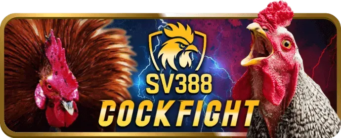 Ưu đãi chào mừng thành viên mới mp66